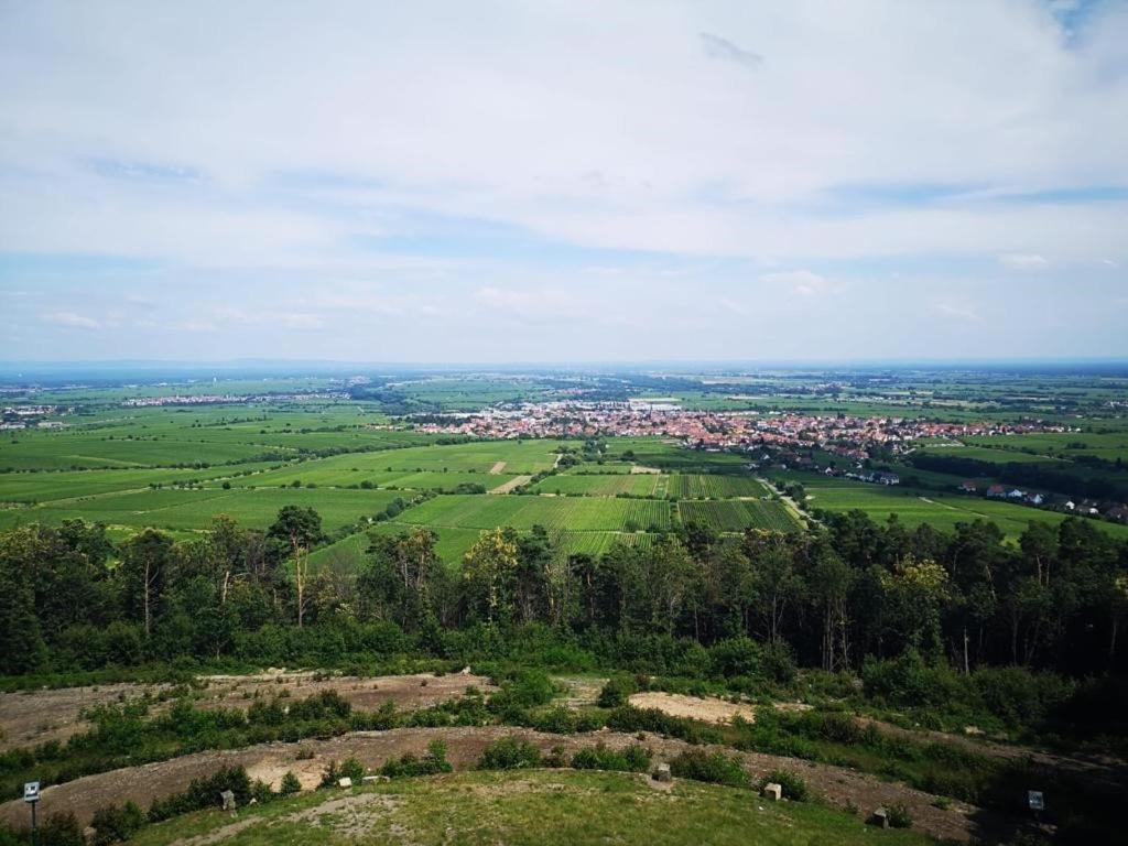 Wohnen Im Herzen Der Pfalz Neustadt an der Weinstraße Buitenkant foto